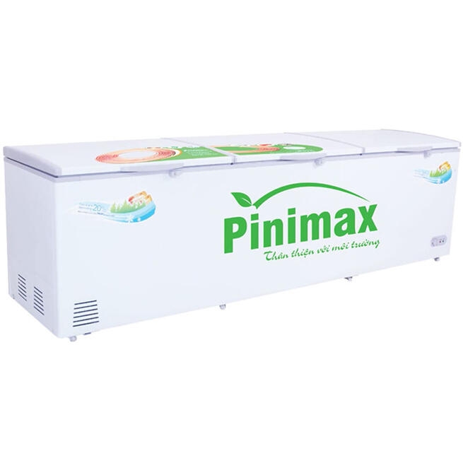 Tủ đông Pinimax 900 lít PNM-119AF