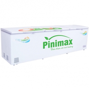 Tủ đông Pinimax 900 lít PNM-119AF